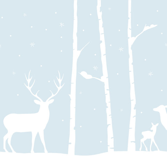 Fensterfolie static window border Birch Woods image number null